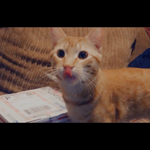 ✨Bookmark My Closet✨ - Picture 5 of 10